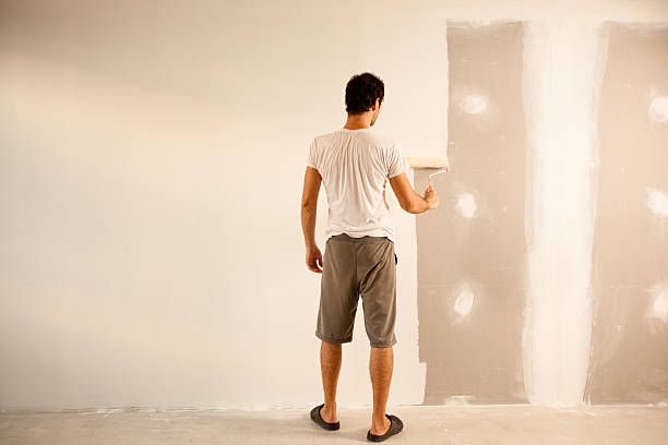 Best Eco-Friendly and Low-VOC Painting  in Dixmoor, IL